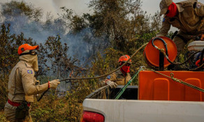 Incêndios florestais: Estado declara situação de emergência a partir de maio