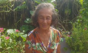 Castanheira: o incrível amor de uma mulher pelas plantas