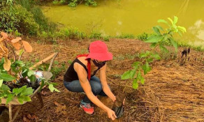 Castanheira: Ação de amigos beneficia o Vale Verde com mais árvores